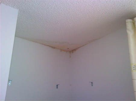 Mold on Ceiling Montreal Home Inspector